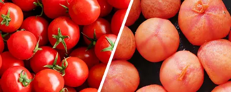 Tomate