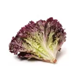 Lechuga roja