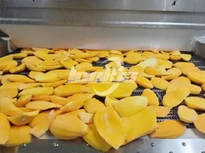 Línea de producción de cubos de mango congelado