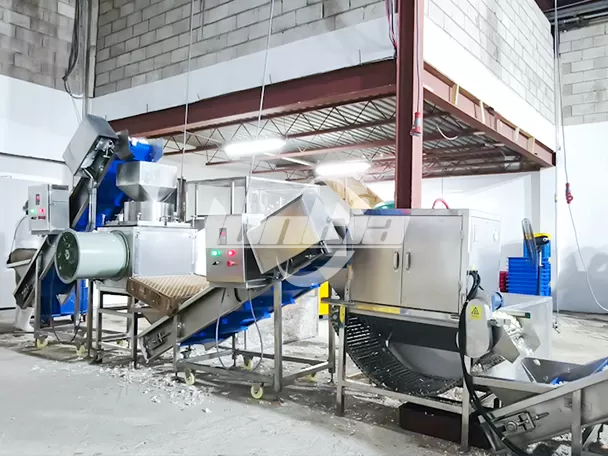 Proyecto de Línea de Procesamiento de Ajo de 300 kg/h en Jamaica