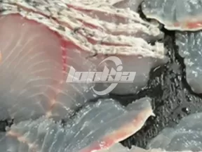 Máquina cortadora de pescado