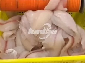 Máquina para despellejar pescado