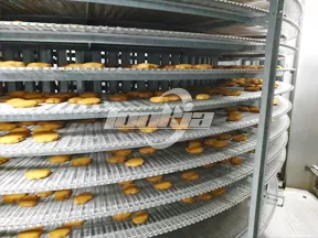 Congelador en espiral
