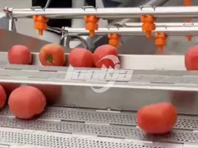 Línea de producción de cubos de tomate congelado