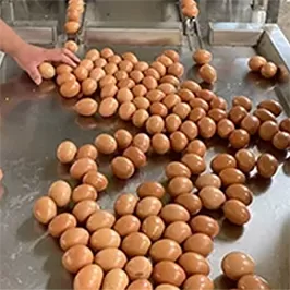 Plataforma de recogida de huevos