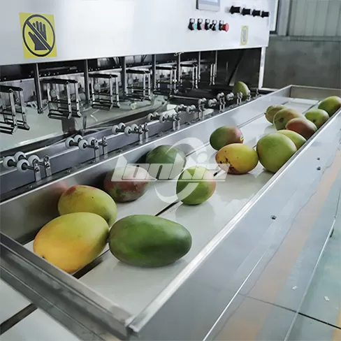 Máquina Peladora de Mango Comercial
