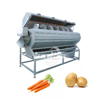 Máquina de limpieza con rodillo de cepillo