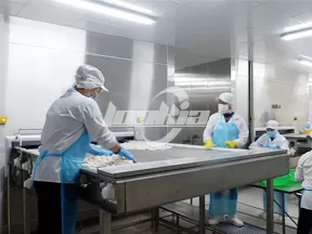 Congelador de lecho fluidizado