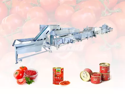 Línea de Producción de Conservas de Tomate
