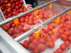 Máquina de limpieza de rodillos paralelos