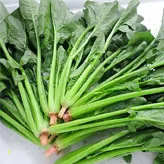 Espinaca