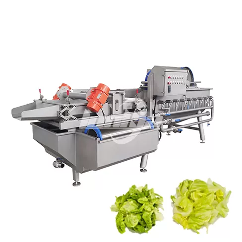 Máquina de limpieza de verduras por vórtice