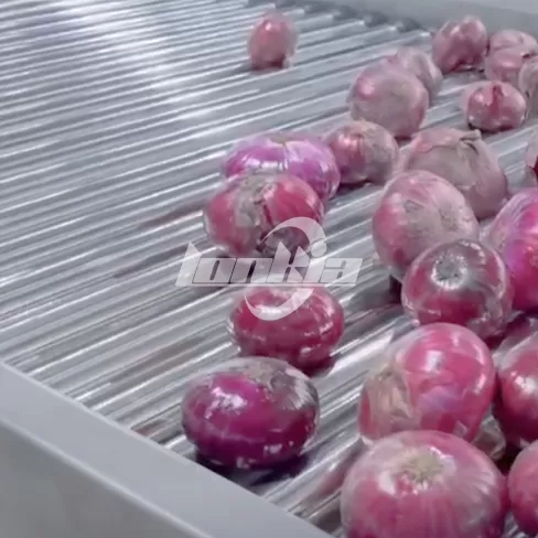 Máquina clasificadora de cebollas por rodillos