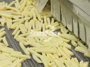 Línea de procesamiento de papas fritas congeladas