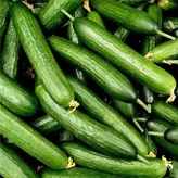 Pepino