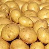 Patata