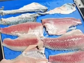 Máquina para despellejar pescado