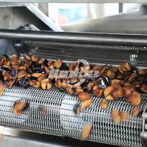 Máquina de fritura Continua