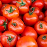 Tomate