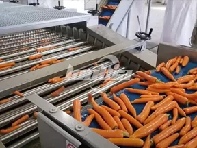 Línea de procesamiento de zanahorias totalmente automática