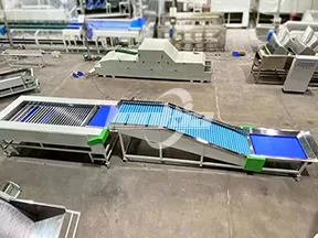 Máquina clasificadora de frutas y verduras por rodillos