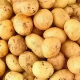 Patatas pequeñas