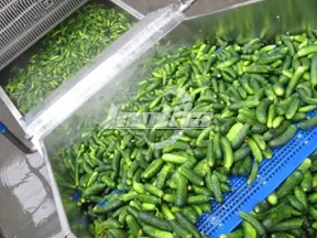 Línea de Producción de Conservas de Pepino