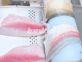 Máquina para despellejar pescado