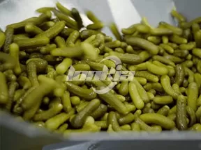 Línea de Producción de Conservas de Pepino