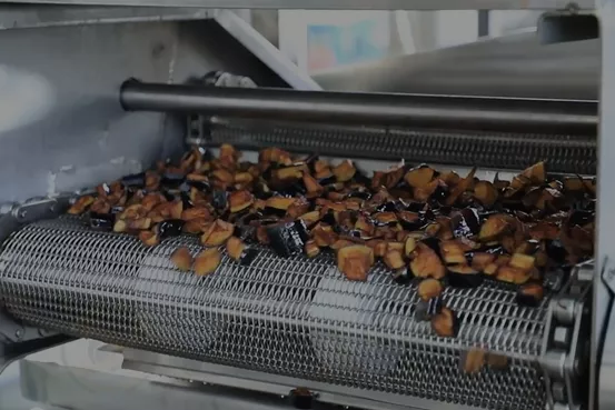Vídeo de la máquina freidora continua