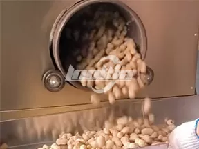 Máquina de tostado electromagnética