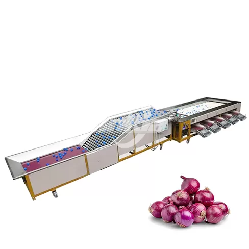 Máquina clasificadora de cebollas por rodillos