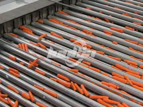 Línea de procesamiento de zanahorias totalmente automática