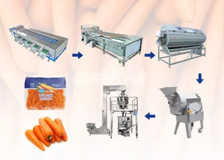 Línea de procesamiento de zanahorias totalmente automática