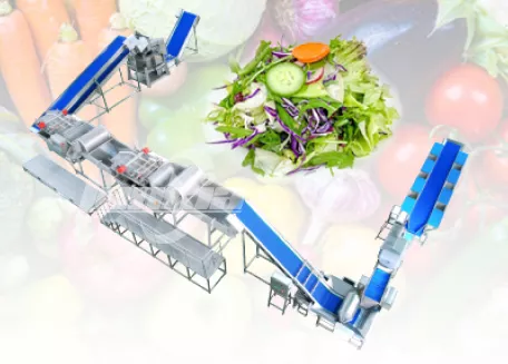 Línea de lavado, corte y secado de ensaladas de verduras