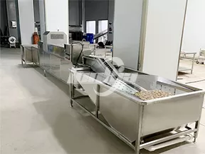 Línea de lavado automático de huevos