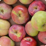 Manzana
