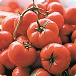 Tomate