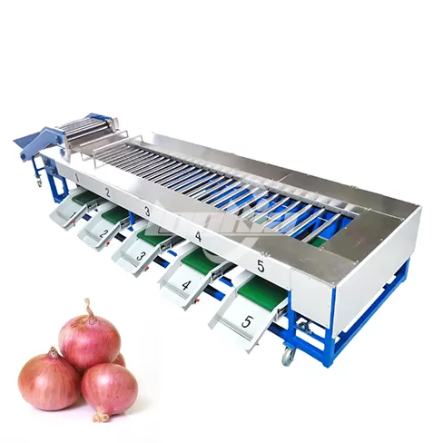Máquina clasificadora de cebollas por rodillos