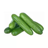 Pepino