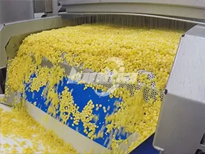 Línea de procesamiento de verduras congeladas