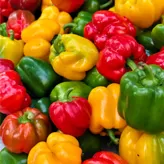 Pimienta de Colores