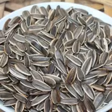 Pipas de girasol