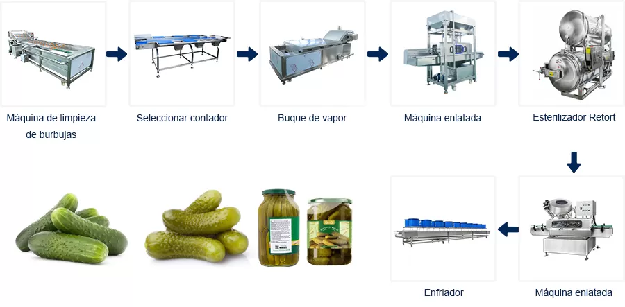 Proceso de Línea de Producción Línea de Producción de Conservas de Pepino