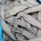 Calamares congelados
