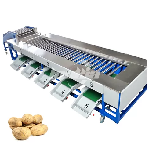 Máquina clasificadora de frutas y verduras por rodillos