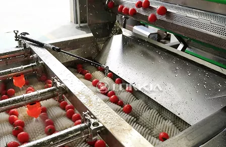 Línea de lavado y secado al aire de tomates cherry (2 toneladas) en Israel (octubre de 2025)