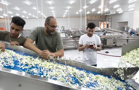 Línea de procesamiento de ensaladas de 1,5 toneladas en Jordania (julio de 2025)
