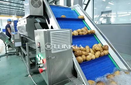 Línea de lavado y corte de patatas de 2 toneladas en Rumania (septiembre de 2025)