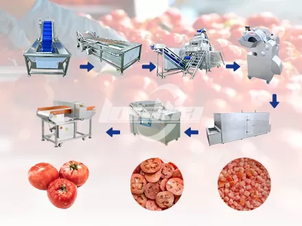Línea de producción de cubos de tomate congelado